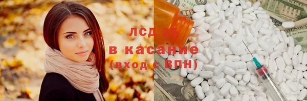 прущие крисы Гусев