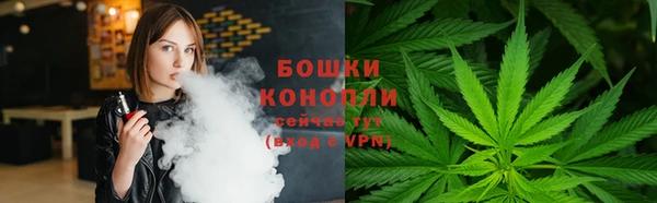 прущие крисы Гусев
