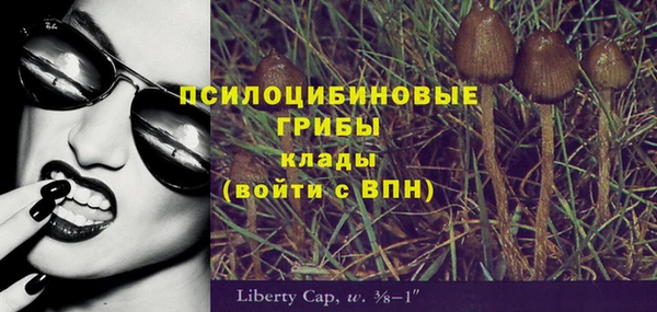 соль ск Гусиноозёрск