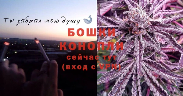 прущие крисы Гусев
