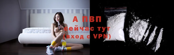 прущие крисы Гусев