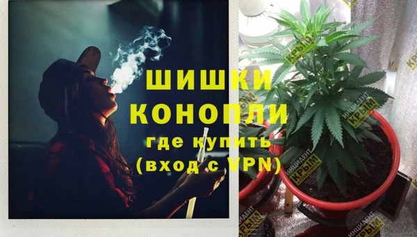 ПСИЛОЦИБИНОВЫЕ ГРИБЫ Дмитриев