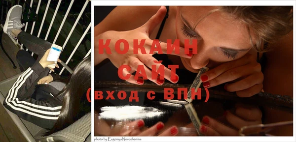 прущие крисы Гусев