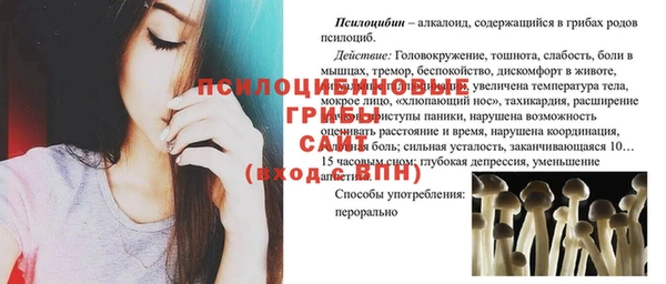 соль ск Гусиноозёрск