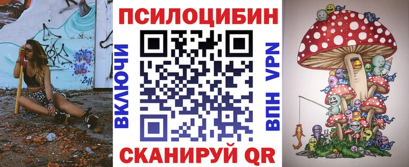 Купить где  Камешково  Псилоцибиновые грибы Psilocybe 